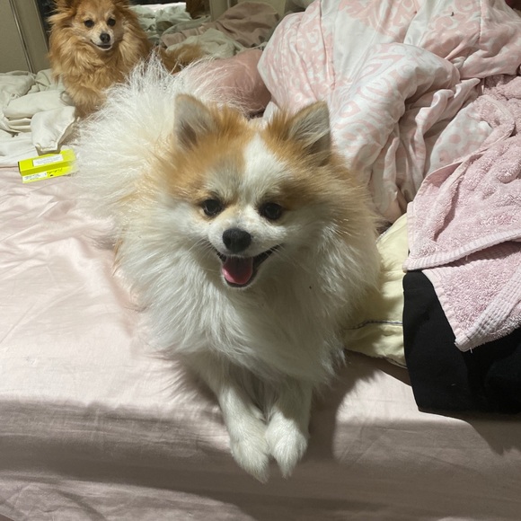 Meet Your Seller 💘🍭 - Picture 8 of 16